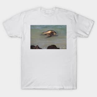 850_3359 T-Shirt